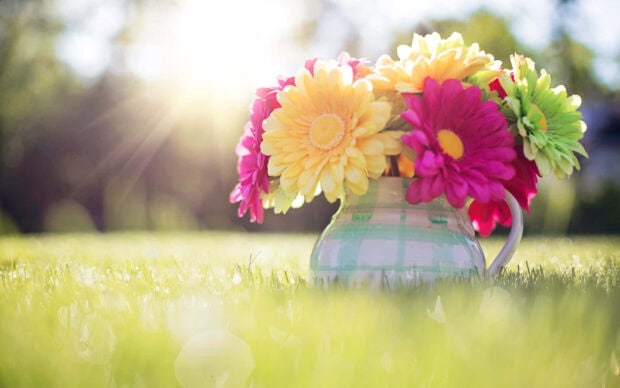 Colorful flowers arranged in a patterned pitcher sit on vibrant green grass, bathed in warm sunbeams