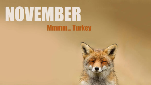 A serene fox closes its eyes, appearing to dream about food, with text 