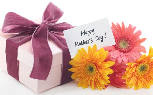A pastel gift box binds with a velvet ribbon, vibrant gerbera daisies bloom beside a greeting card