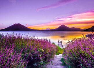 Purple wildflowers line a stone path leading to a small wooden pier, overlooking a vast lake reflecting a dramatic sunset sky between two towering mountains