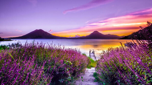 Purple wildflowers line a stone path leading to a small wooden pier, overlooking a vast lake reflecting a dramatic sunset sky between two towering mountains