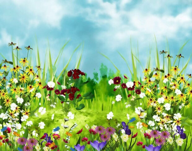 A colorful meadow flourishes with diverse flowers and tall grasses stretching towards a soft, cloudy blue sky