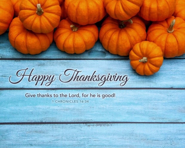 Small orange pumpkins cluster at the top edge, resting on light blue rustic wooden planks featuring a biblical verse