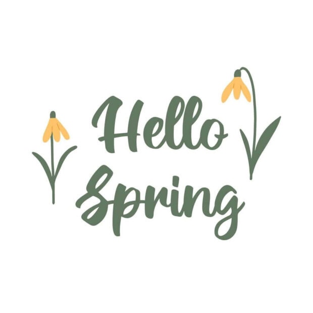 Green script text 'Hello Spring' is flanked by two simple yellow bell flowers on a clean white background