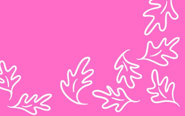 White outlined oak-like leaves float across a solid, vibrant magenta background, creating a cheerful decorative pattern