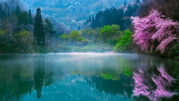 Fog rises from calm lake, reflecting vibrant pink and green trees at its edges, with distant misty hills