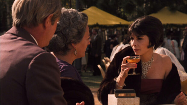 Guests socialize during an outdoor celebration, a woman holding a champagne glass with a fur wrap conversing
