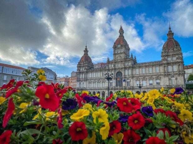 Vibrant red, yellow, and purple petunias bloom brightly in a garden bed before a stately historical building with ornate domes and a cloudy sky above