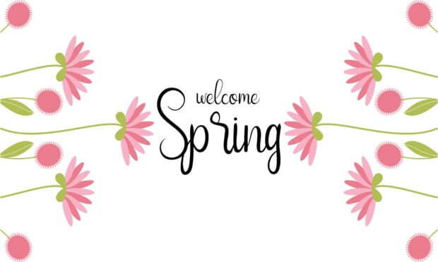 Pink flowers with green stems border white background featuring 
