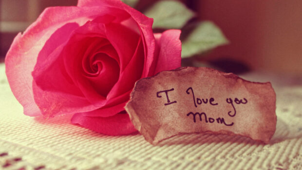 A vibrant pink rose unfurls its petals beside a small crumpled note displaying 
