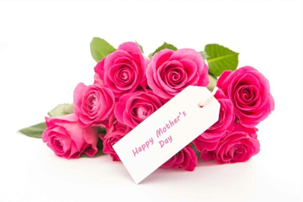 A vibrant bouquet of pink roses blooms, bundled with a white gift tag displaying 