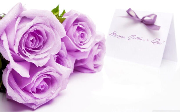 Purple roses with dew drops rest beside a white card tied with a ribbon, displaying a thoughtful message on a pristine white surface