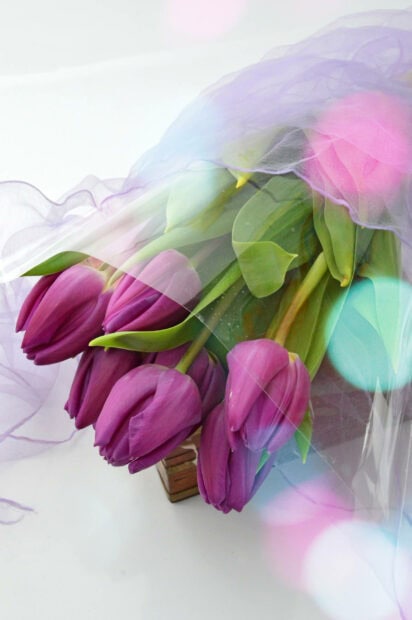 Purple tulips cluster together, wrapped in sheer lavender fabric, creating a soft, elegant presentation