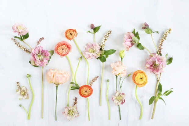 Various flowers arrange artfully on a white surface, displaying soft pink, orange, and cream petals with green stems