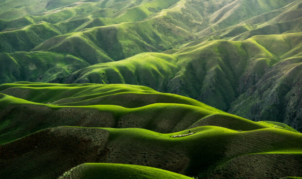 Hills undulate, cloaked in green, catching sunlight