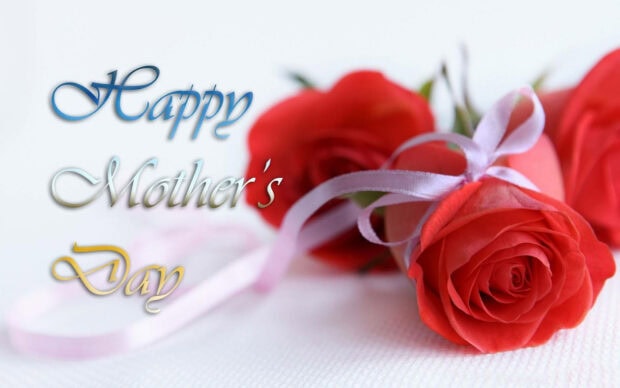 Red roses tied with a light pink ribbon display next to elegant text on a soft white background