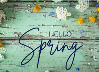 Distressed green wooden planks feature blue script text, bordered by scattered white and yellow blossoms