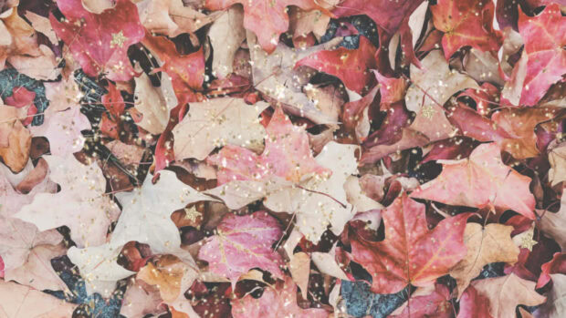 Dried maple leaves lie scattered on the ground, adorned with sparkling gold glitter and tiny star shapes
