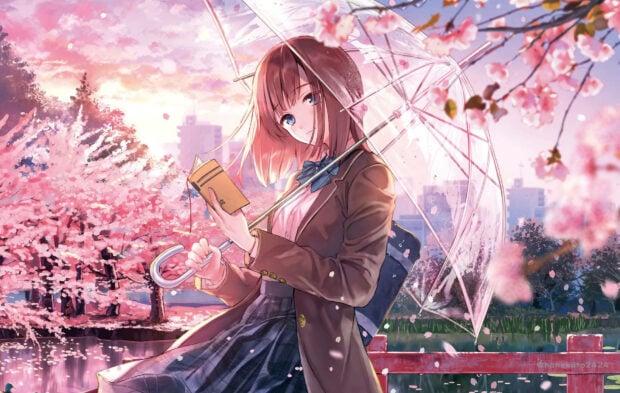 Schoolgirl stands beneath vibrant cherry blossoms, holding an open book and a clear umbrella, shielded from falling petals