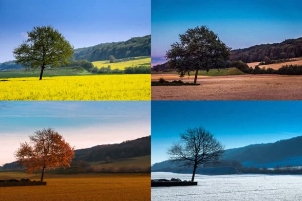 spring background