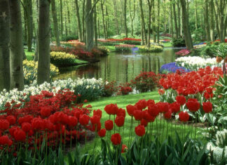 Spring computer wallpaper hd desktop a colorful spring garden filled with blooming tulips and flowers alongside a calm river