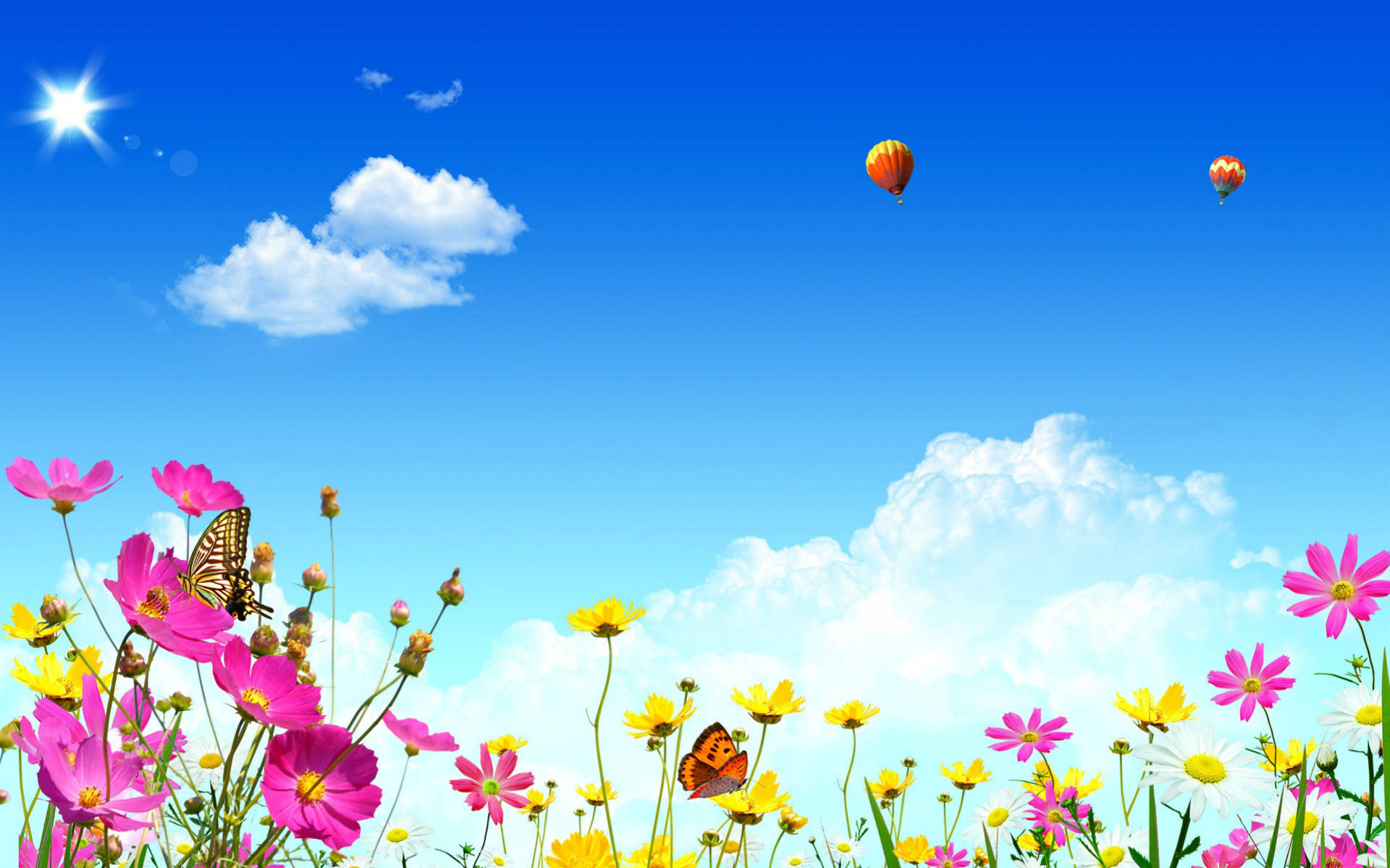 Spring Flower Computer Wallpaper HD - PixelsTalk