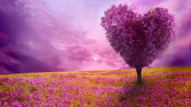 Spring computer wallpaper hd desktop purple heart shaped tree standing in the spring field of wildflowers under a vibrant sky