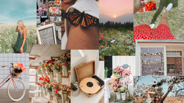 Spring computer wallpaper hd laptop a butterfly resting on a person s arm in a bright spring setting