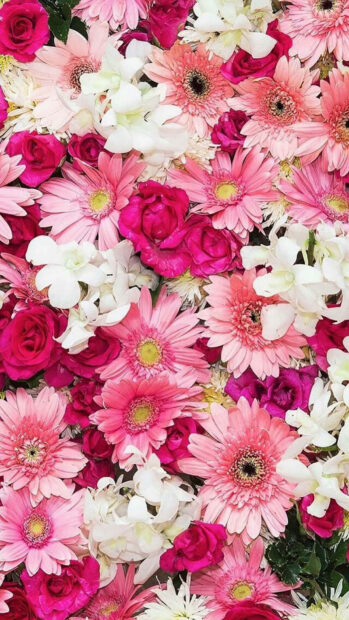 Spring flower iphone wallpaper hd iphone a close up view of spring flower bouquet featuring pink gerbera daisies and white blossoms