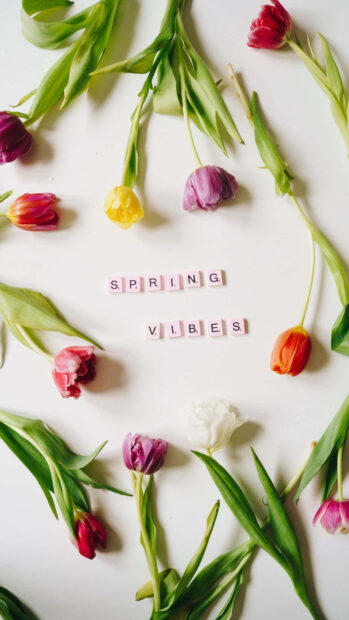 Spring flower iphone wallpaper hd iphone colorful spring flowers surrounding letters spelling spring vibes on a white surface