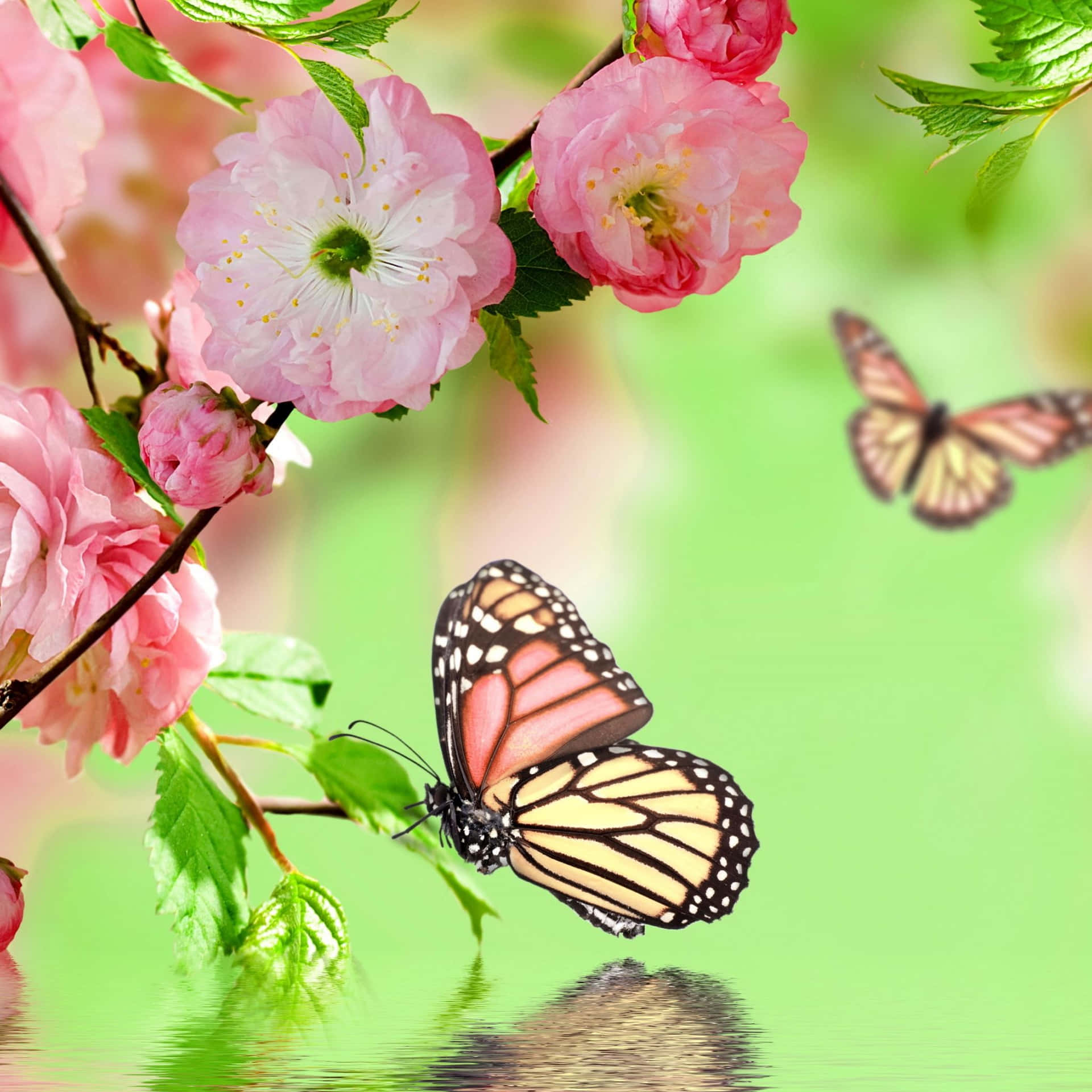 Spring iPad Wallpaper - PixelsTalk