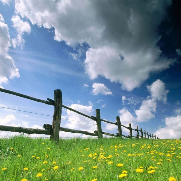 Spring laptop wallpaper laptop a green meadow with yellow flowers and wooden fence under a cloudy blue sky
