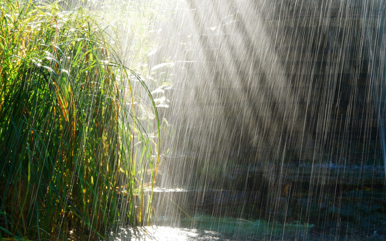 Spring Rain Wallpaper - PixelsTalk