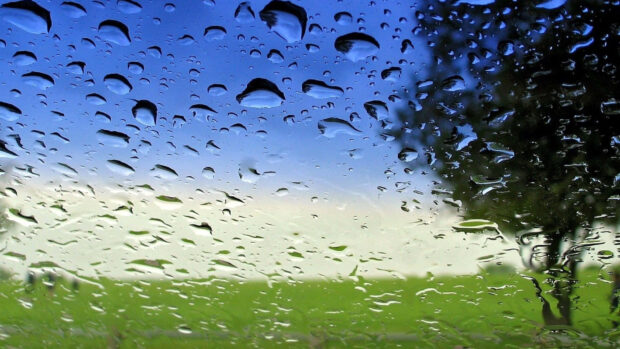 Spring rain wallpaper hd desktop raindrops on window with green field and tree in spring rain