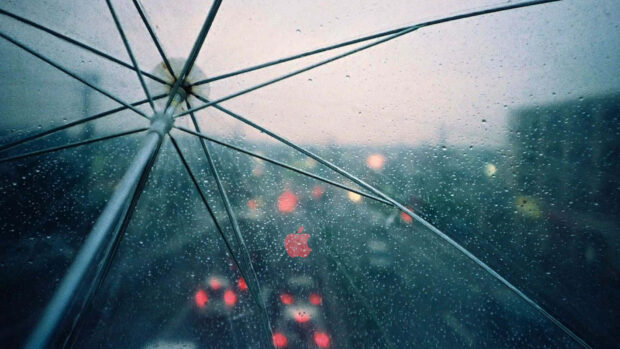 Spring rain wallpaper hd desktop transparent umbrella with spring rain drops on the window during evening traffic