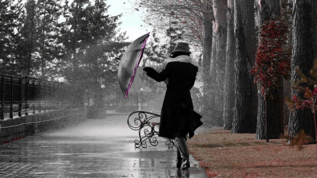 Spring rain wallpaper hd desktop woman with umbrella walking in spring rain surrounded by trees and wet pavement