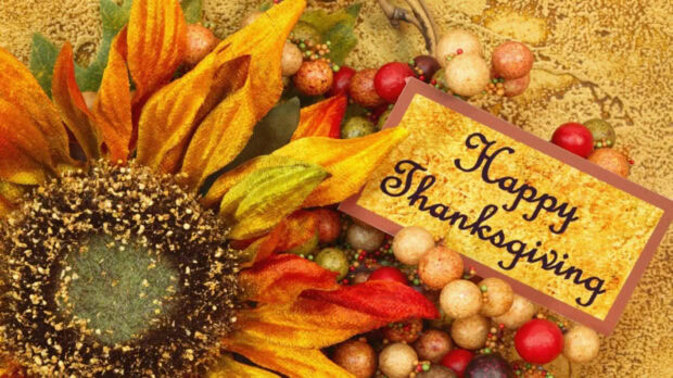 A close-up view of a sunflower blooms beside colorful decorative berries and a written greeting card, featuring warm fall colors