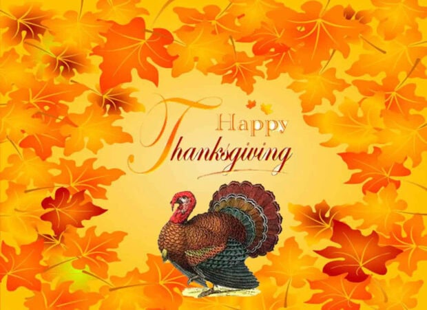 An elegant traditional turkey stands amidst a vibrant border of stylized orange and yellow maple leaves