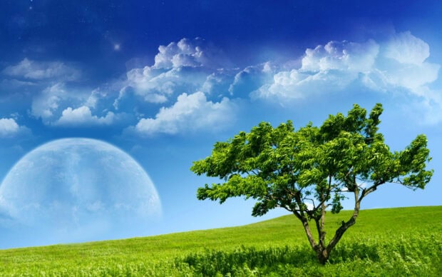 Green tree stands on grassy hill under vast blue sky with distant celestial body