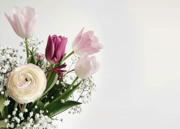 beautiful spring wallpaper
