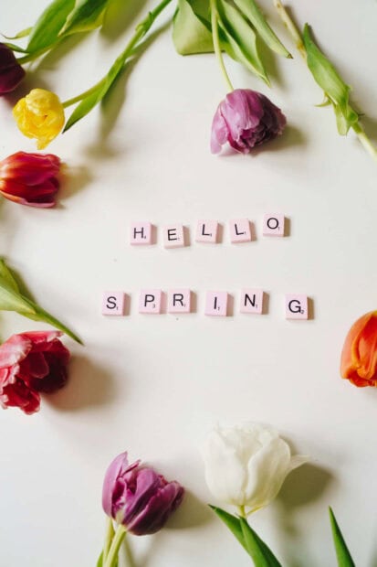 Scrabble tiles arrange to spell 