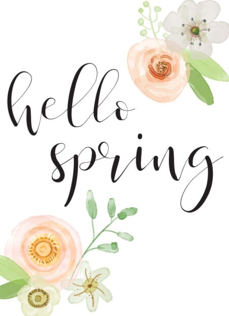 Watercolor floral elements adorn the corners of a clean white background, showcasing 'hello spring' in elegant script