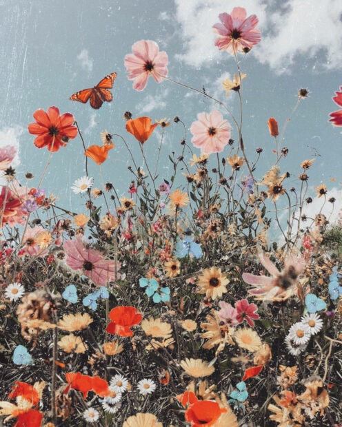 A vibrant wildflower meadow bursts with multicolored blossoms and butterflies against a textured blue sky