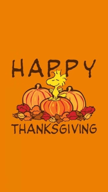 The cheerful yellow bird Woodstock sits atop a stack of orange pumpkins surrounded by colorful autumn leaves, with bold celebratory text on an orange background