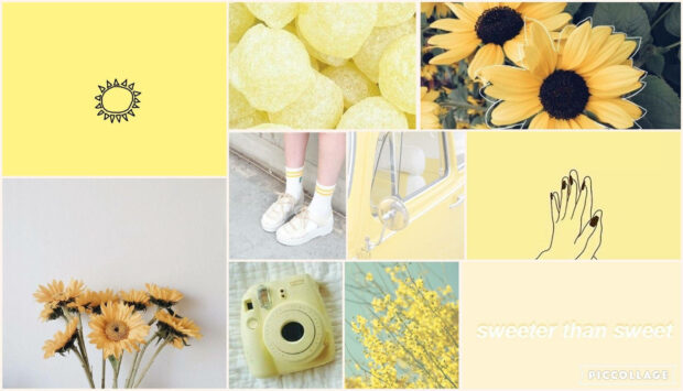 A vibrant yellow collage displays various elements including sunflowers, candies, a sun icon, and stylistic photography