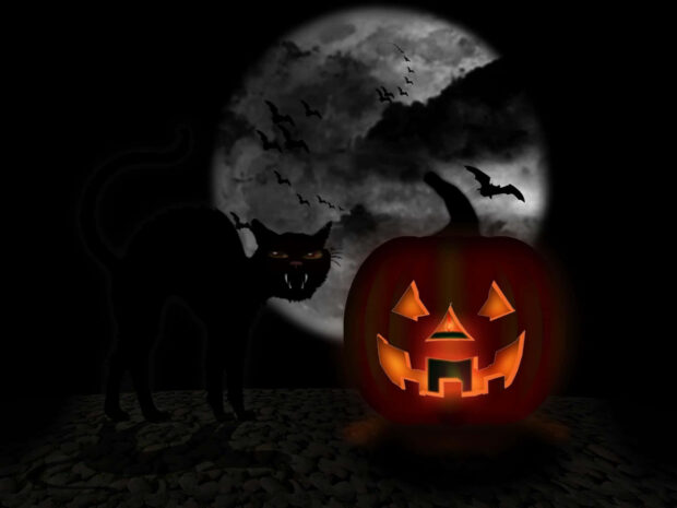 A spooky 3D Halloween wallpaper featuring a black cat, a glowing jack-o'-lantern, and bats flying against a full moon