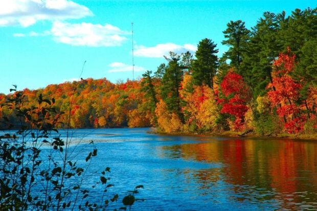 A vibrant aesthetic fall wallpaper showcasing a serene lake reflecting brightly colored autumn trees under a clear blue sky