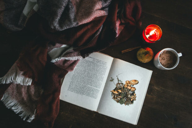 Aesthetic Fall Wallpaper showing a cozy autumn scene with an open book, a warm plaid blanket, a lit candle, and a hot beverage