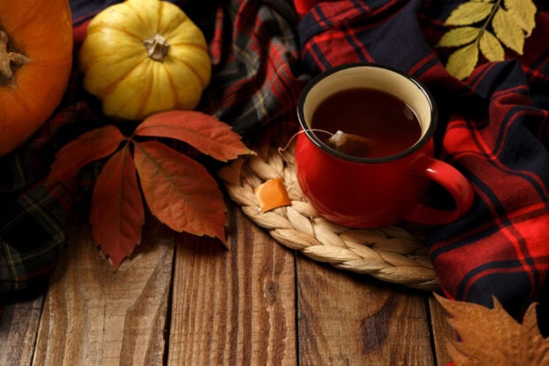 An aesthetic fall wallpaper showcasing a cozy scene with a red tea mug, pumpkins, plaid fabric, and autumn leaves on a wooden table