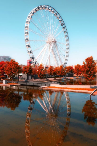 Aesthetic fall wallpaper showing a large white Ferris wheel with vibrant orange and red autumn trees reflecting in still water